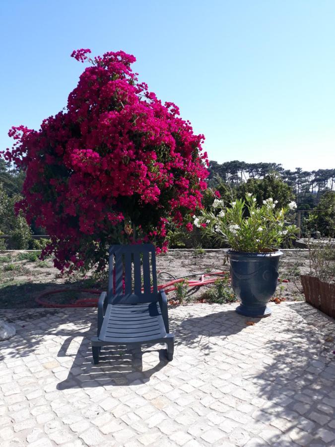Plage Et Foret Pobral Esterno foto